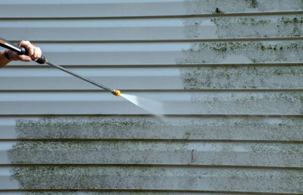 Best Sidewalk Pressure Washing  in Wathena, KS